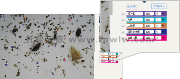 儀器識別統計界面 儀器識別統計界面