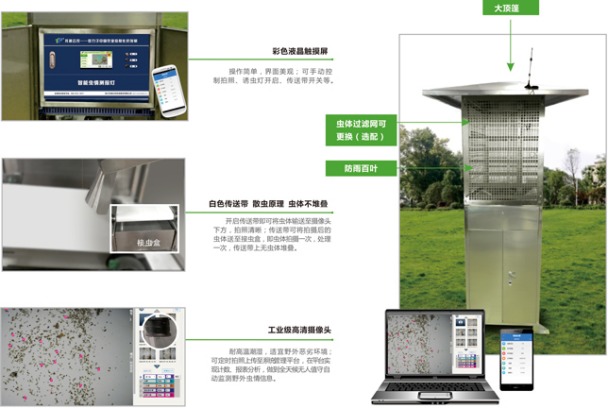 托普云農蟲情測報燈對害蟲的識別分析