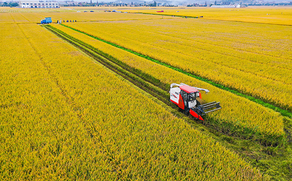 寧波古林大田數字農業項目實景圖 寧波古林大田數字農業項目實景圖
